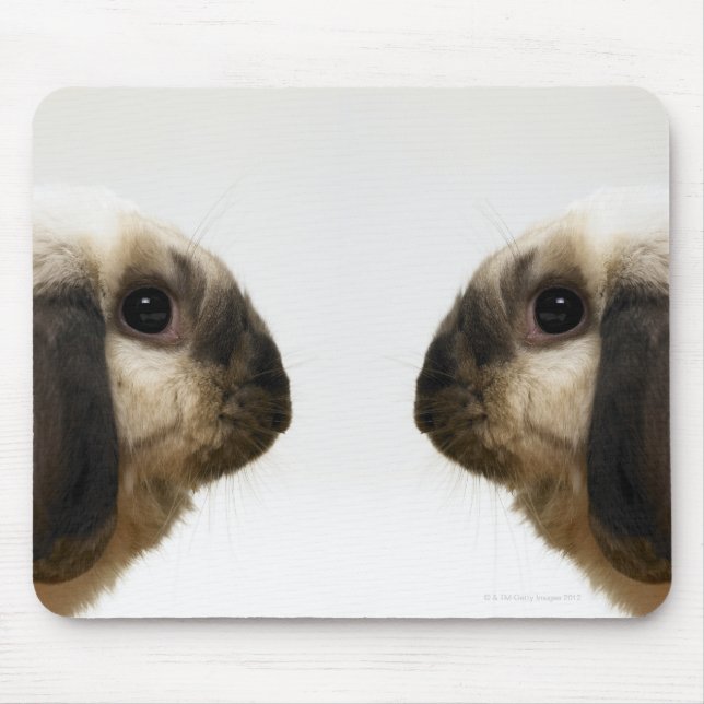 Kaninchen Mousepad (Vorne)