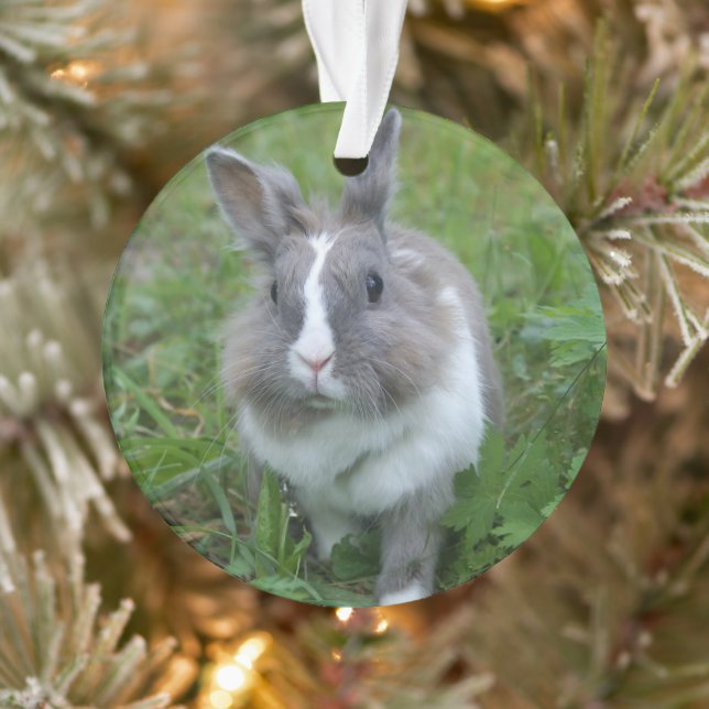 Kaninchen Ornament (Baum)
