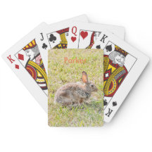 Kaninchen - Ostern - Wildnis - Tier