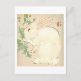 Kaninchen Postkarte