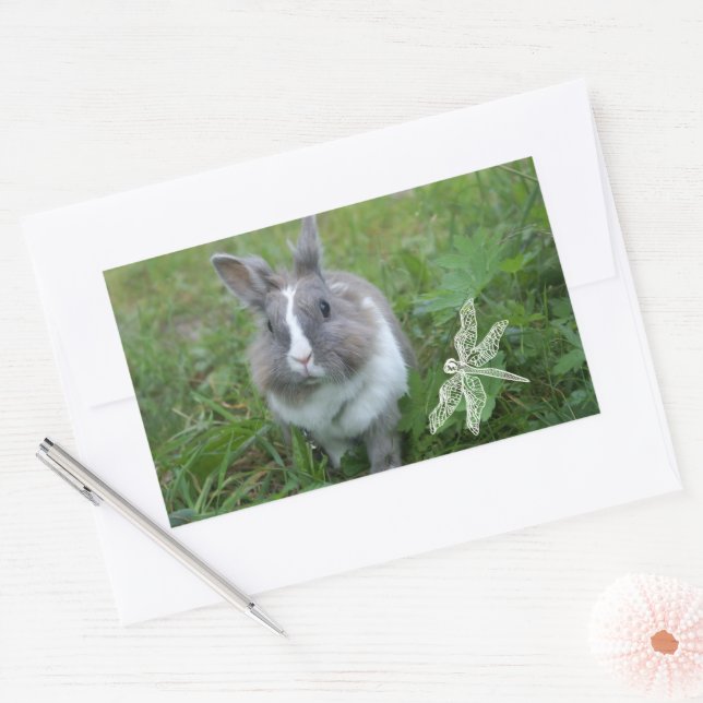 Kaninchen Rechteckiger Aufkleber (Umschlag)