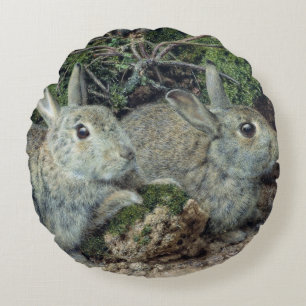 Kaninchen Rundes Kissen
