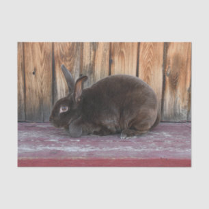 Kaninchen Rustic Brown Country Farm Seidenpapier