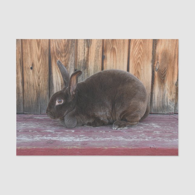 Kaninchen Rustic Brown Country Farm Seidenpapier (Vorderseite)