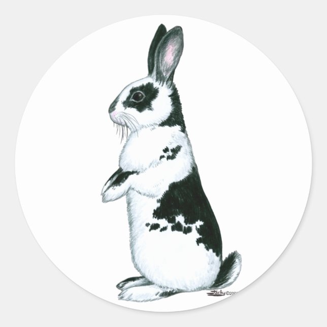 Kaninchen: Schwarz und Weiß Runder Aufkleber (Vorderseite)
