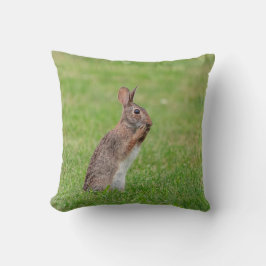 Kaninchen stehend im Gras und schüchtern aussehen Kissen