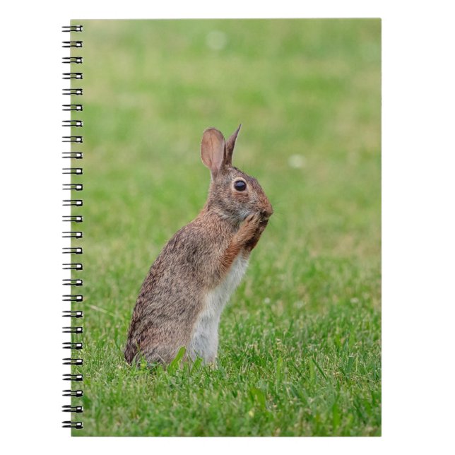 Kaninchen stehend im Gras und schüchtern aussehen Notizblock (Vorderseite)