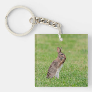 Kaninchen stehend im Gras und schüchtern aussehen Schlüsselanhänger