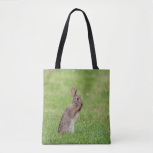 Kaninchen stehend im Gras und schüchtern aussehen Tasche