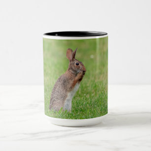 Kaninchen stehend im Gras und schüchtern aussehen Tasse