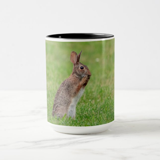 Kaninchen stehend im Gras und schüchtern aussehen Tasse (Zentrum)