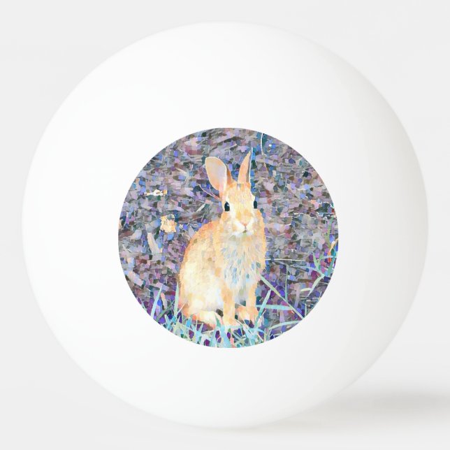 Kaninchen  tischtennisball (Vorderseite)