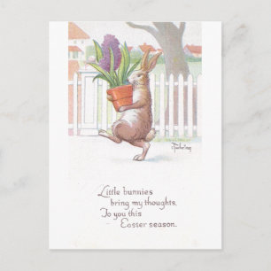 Kaninchen trägt getopfte violette Hyazinthe Postkarte