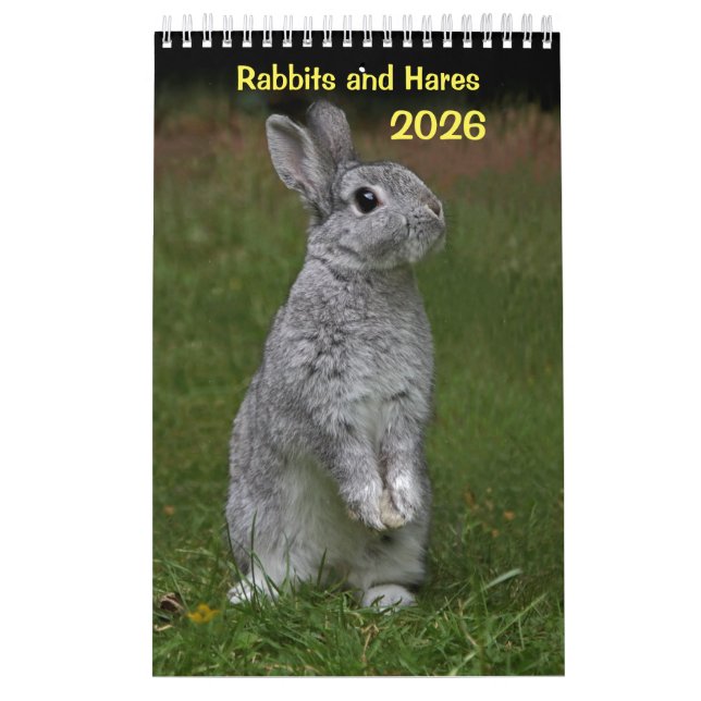 Kaninchen und Hares-Kalender Kalender (Titelbild)
