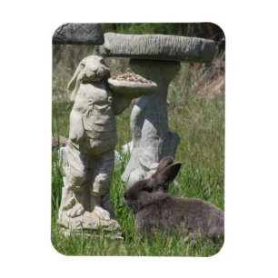 Kaninchen- und Hasen-Statue-Vogelfutterhaus Magnet