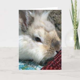 Kaninchen und Indischer Mais Karte