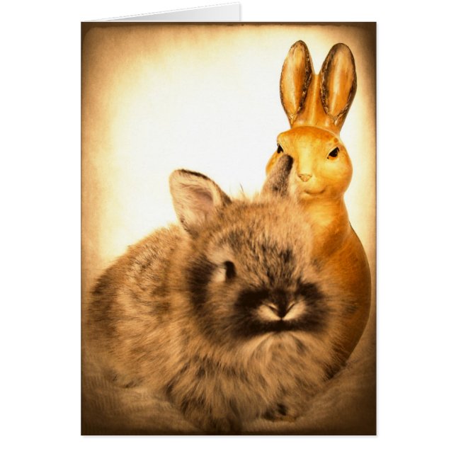 Kaninchen und Kaninchen aus Fake (Vorne)