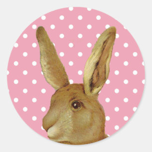 Kaninchen und Pink-Polka-Dot Runder Aufkleber