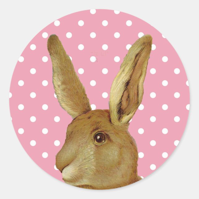 Kaninchen und Pink-Polka-Dot Runder Aufkleber (Vorderseite)