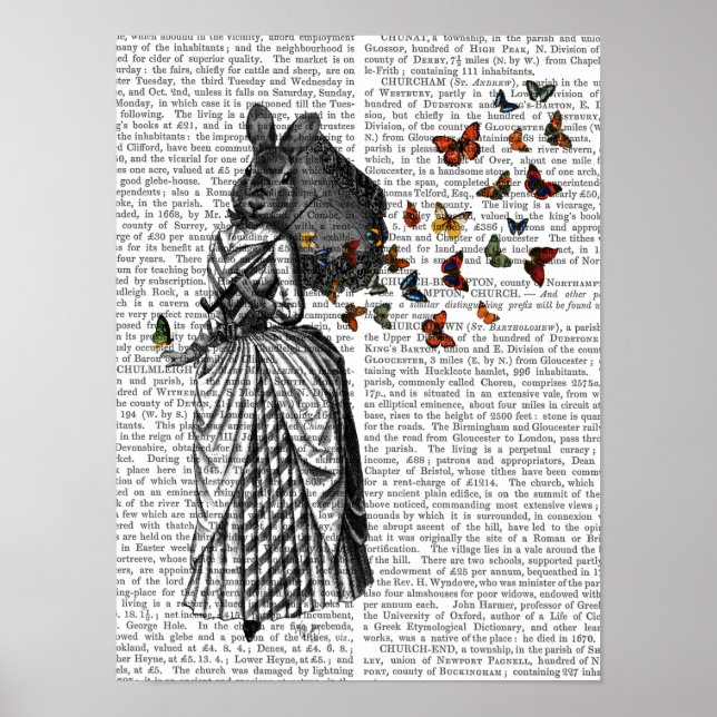 Kaninchen und Schmetterlingsparasol Poster (Vorne)