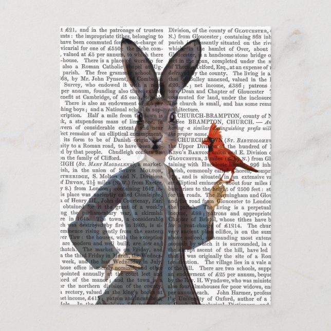 Kaninchen und Vögel 2 Postkarte (Vorderseite)