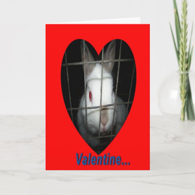 Kaninchen Valentine Feiertagskarte (Vorderseite)