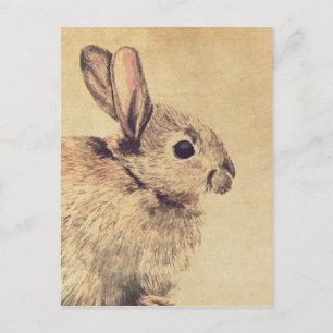 Kaninchen-Wasserfarbskizze Postkarte