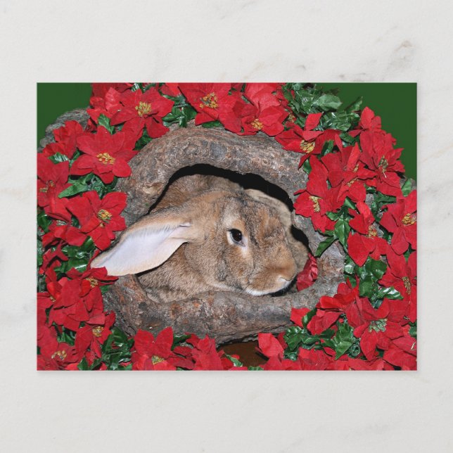 Kaninchen-Weihnachten Postkarte (Vorderseite)