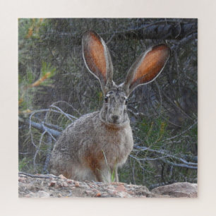 Kaninchen, wild lebende Tiere, Puzzle mit Geschenk