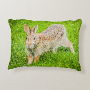 Kaninchen Wildtiere Grüne Natur Akzent Kissen