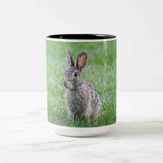 Kaninchen Zweifarbige Tasse