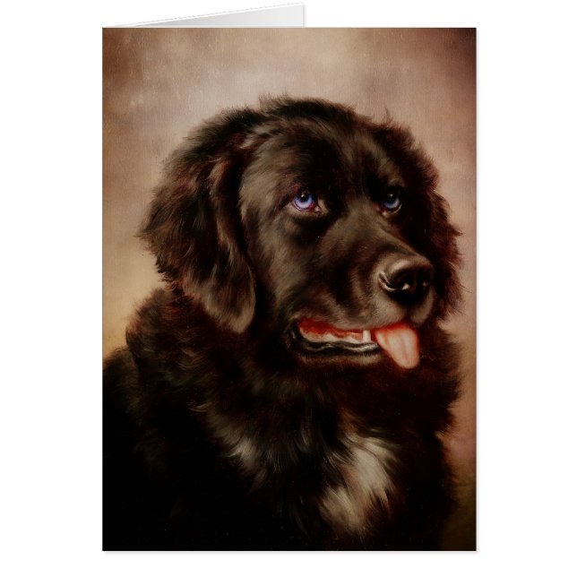 Kaninchenbefestigung (Vorne)