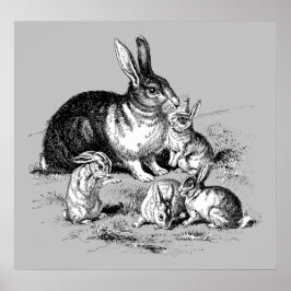 Kaninchenfamilie - Archivdruck Poster