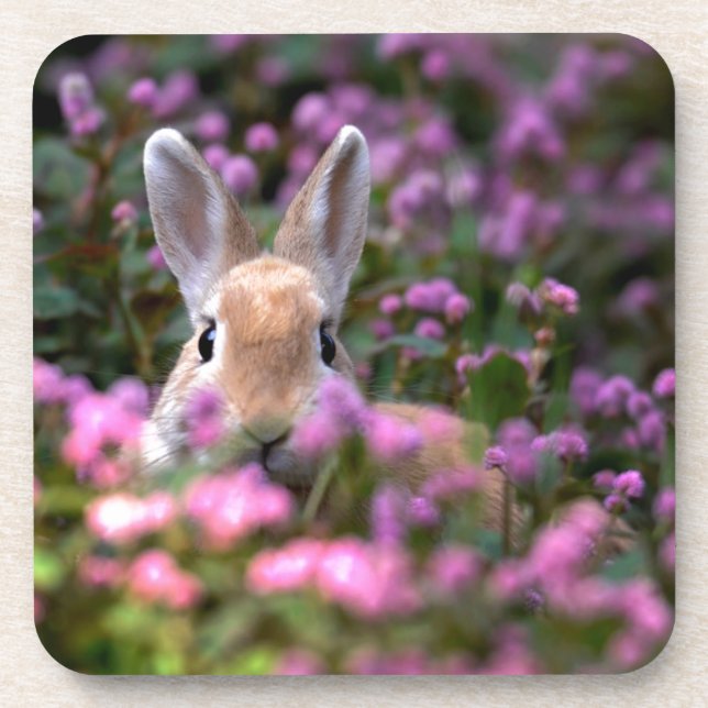 Kaninchenfarm Getränkeuntersetzer (Vorderseite)