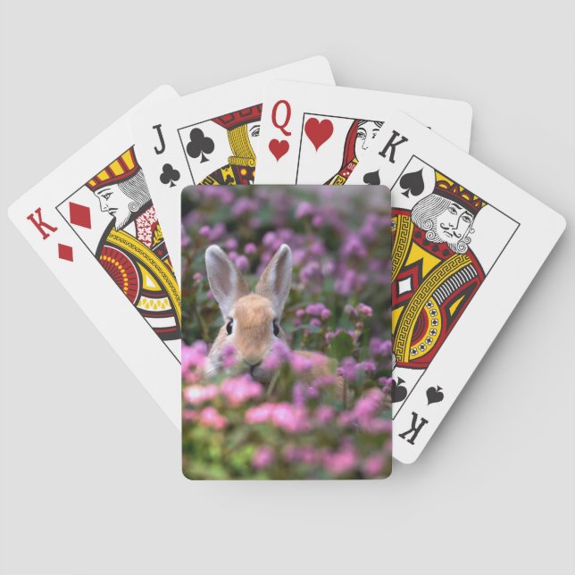 Kaninchenfarm Spielkarten (Rückseite)