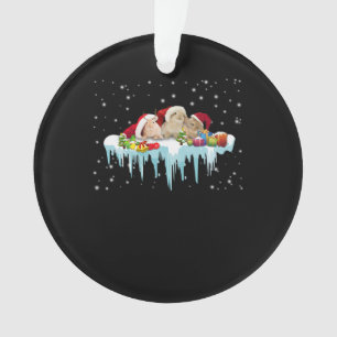 Kaninchengeschenk Drei Kaninchen wirklich schöne Ornament