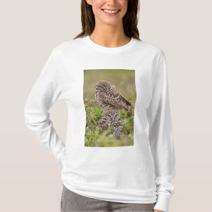 Kaninchenkauz, Athene cunicularia, Cape Coral, T-Shirt