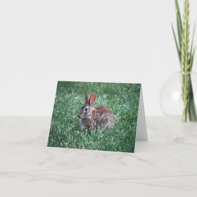 Kaninchennotecard Karte (Vorderseite)