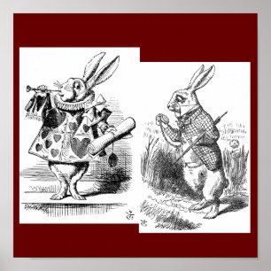 Kaninchenplakat Poster