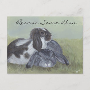 Kaninchenrettungskarte Postkarte