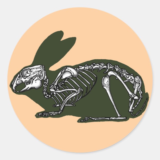 Kaninchenskelett Runder Aufkleber (Vorderseite)