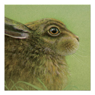 Kaninchentier-Kunst-Malereiplakat Poster