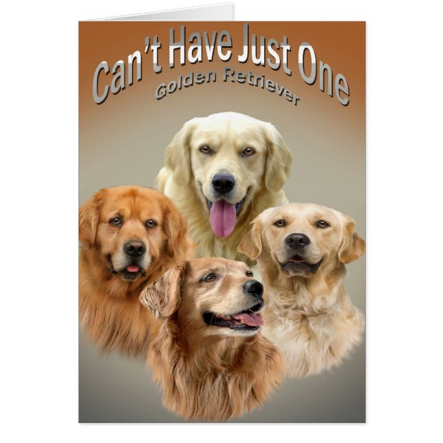 Kann die gerade ein golden retriever-Karten nicht (Vorne)