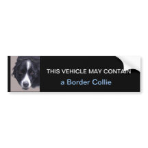 kann eine Border Collie enthalten