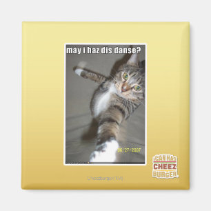 kann I haz DIS tanzen? Magnet