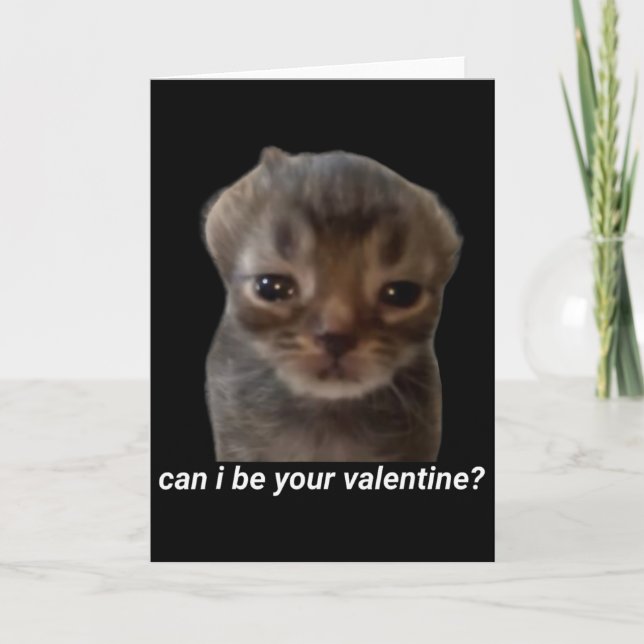 Kann ich dein Valentin sein lustiges Katzen-Meme B Karte (Vorderseite)
