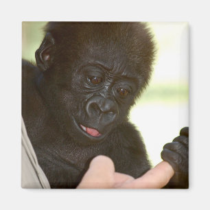 Kann ich deine Hand halten? Magnet