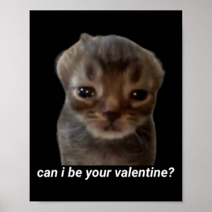 Kann ich deine Valentine Funny Cat Meme Brainrot G Poster