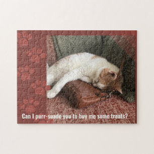 Kann ich dich überreden, Funny Cat