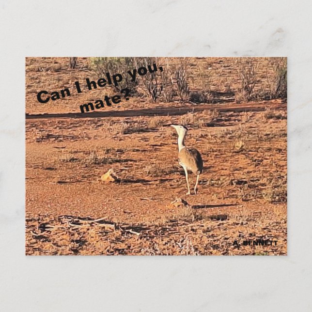 Kann ich dir helfen, Kumpel? Postkarte (Vorderseite)